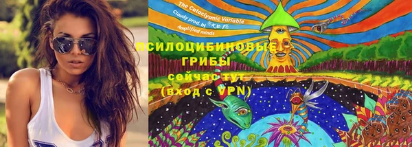кокаин премиум Заводоуковск
