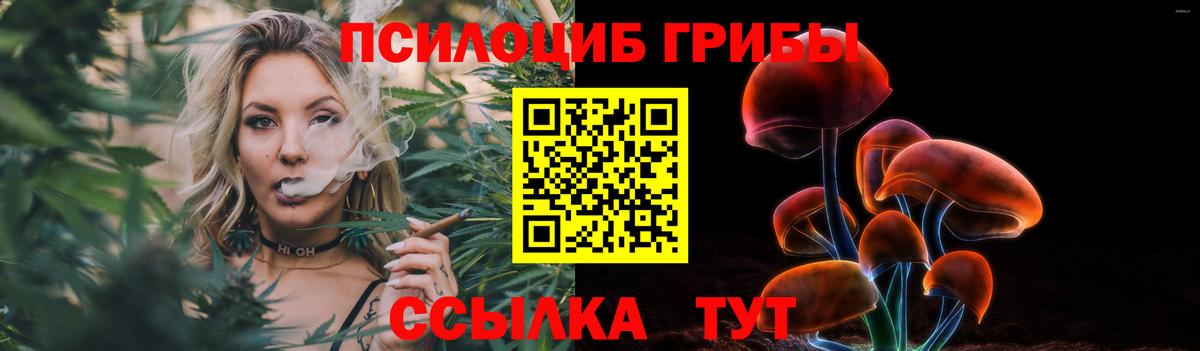 Псилоцибиновые грибы MAGIC MUSHROOMS Знаменск